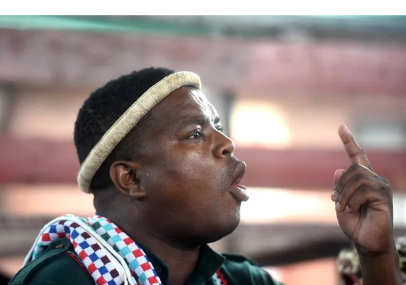 Liberation Movement failed US-Ngizwe Mchunu